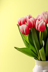 Bouquet of pink tulips in a white vase on a light background. Festive background, copy space. Valentine's Day, Mother's Day, Birthday Concept. Vertical position.