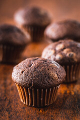 Chocolate muffins. Sweet dark cupcakes.
