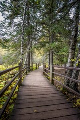 Scenic view of wood trail in the deep woods of Gooseberry Falls State Park in Minnesota	