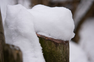 snow on the fence