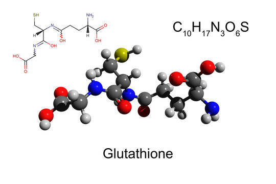 Chemical formula, skeletal formula and 3D ball-and-stick model of antioxidant glutathione, white background