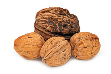 Walnuss isoliert