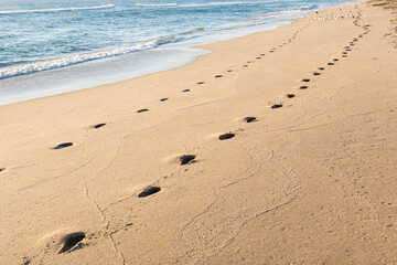 Footprints from a jogger along the shoreline at a Florida beach