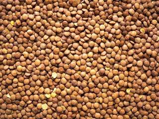 Dried, legume, leguminous plants, structure, blonde lenses, backdrop, background. Flat lay, top view.