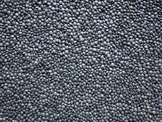 Dried, legume, leguminous plants, structure, beluga lenses, backdrop, background. Flat lay, top view.