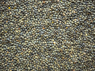 Dried, legume, leguminous plants, structure, green lenses, backdrop, background. Flat lay, top view.