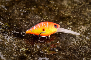 Fishing lure wobbler on a wet stone with moss