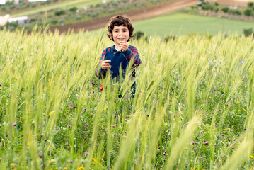 Naklejka na ściany i meble curly-haired boy playing in a wheat field in springtime