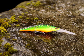 Fishing lure wobbler on a wet stone with moss