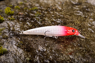 Fishing lure wobbler on a wet stone with moss