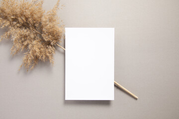 business card mockup with a dried lagurus decoration