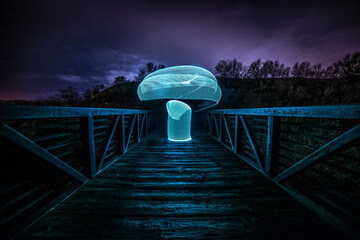 Long exposure, light painted trippy mushroom