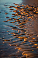 Baltic sea coast at sunset