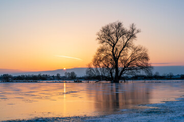 Sonnenuntergang Auenlandschaft Winter mit Baum Bingenheim