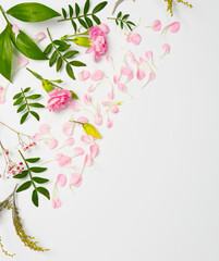 pink and white flowers together with ornamental plants form a composition on a white background. copy space.