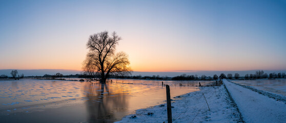 Auenlandschaft Winter mit Baum Bingenheim nach Sonnenuntergang
