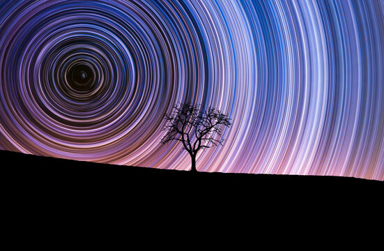 Lone tree and startrails