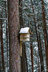 Wooden birdhouse on a pine trunk in the winter forest.