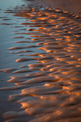 Baltic sea coastline at sunset