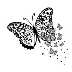 Fototapeta na wymiar Butterfly decorative tattoo. Black Butterfly from patterns. Vector illustration