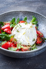 Modern Style italienische Apulia Burrata mit Kuh Milch Käse hergestellt mit Mozzarella und Ricotta serviert mit Tomaten und Feldsalat als close-up in einer Nordic Design Keramik Schale