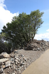 Mt Umminum State park