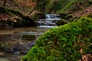 waterfall in the forest
