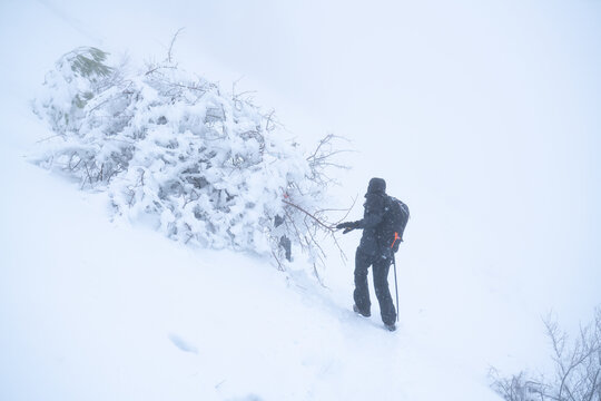 IMAGE OF A PERSON HIKING IN EXTREME CONDITIONS. ALPINIST TREKKING IN HARSH WINTER CONDITIONS. COLD AND BAD WEATHER CONCEPT.