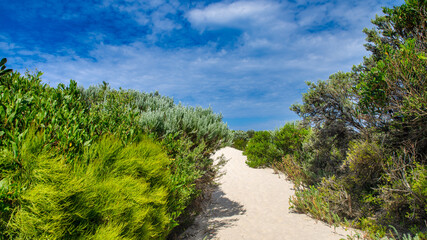 Whisky Bay in the Bass Strait, Wilsons Promontory National Park