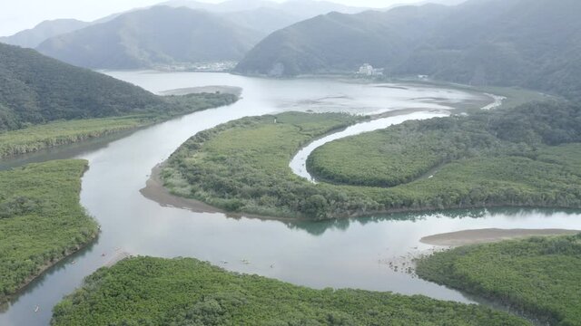 Amami Oshima mangrove at sunset