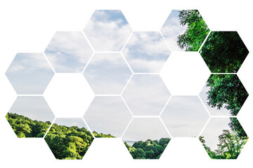 Digital Illustration Landscape Background