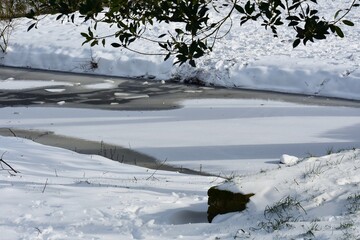 Snowy winter landscape with frozen lake, in the city park. 