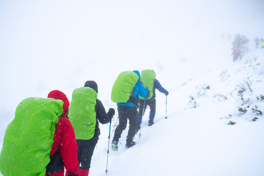 IMAGE OF A GROUP OF PEOPLE HIKING IN EXTREME CONDITIONS. ALPINISTS TREKKING IN HARSH WINTER CONDITIONS. COLD, BAD WEATHER AND FOG CONCEPT.
