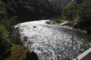 Spring Wildflowers Merced River Canyon Hwy 140 Merced River Red Bud
