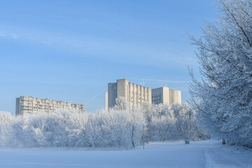 Idyllic snowy winter landscape panorama with trees covered with heavy hoarfrost, on a sunny morning...