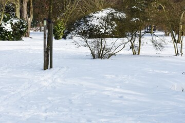 Snowy winter landscape in the city park.
