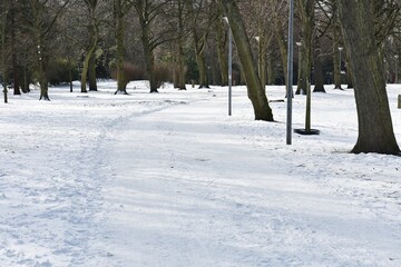 Snowy winter landscape in the city park.