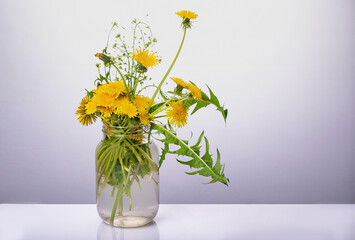 Yellow dandelion in a jar of water. Pastel still life.