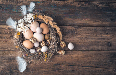 Chicken and quail eggs painted with natural dyes in a nest on a wooden background. Top view, with space to copy. Happy Easter concept.