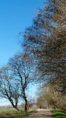 Cyclist practising sport in a lonely path by pandemic Covid-19. Coronavirus pandemic responsible behavior.