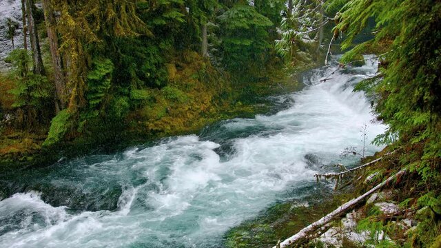 Snowfall in forest mountain stream