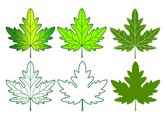 Maple leaf set