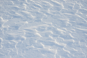 Fresh clean white snow background texture. Winter background with frozen snowflakes and snow mounds. Snow lumps. Seasonal landscape details. Cold weather.