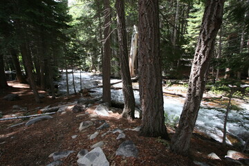 High Country Mountain Stream Lee Vining Ca