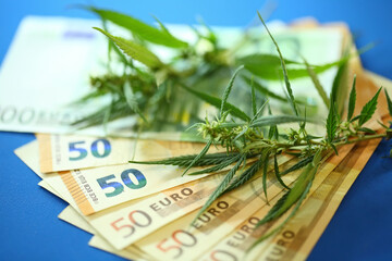 Euro banknote and marijuana flower and hashish drug. Legalization of marijuan. Incomes from products made from cannabis concept.