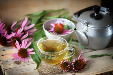 Soft focus. Echinacea tea set. Echinacea flowers, teapot, cup of tea.