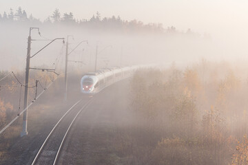 Modern high-speed train approaches to the station at foggy autumn sunrise.