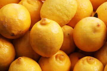 Lemons close up
