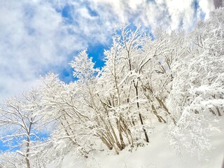 Daisen White Resort in Japan