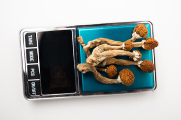 Psilocybin or magic mushrooms on the scales